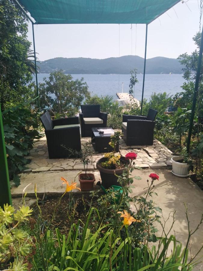 Apartman Iva Kuciste Bagian luar foto